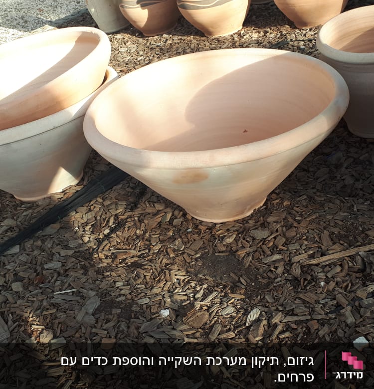 עציצי חרס גדולים על שבבי עץ בגינה